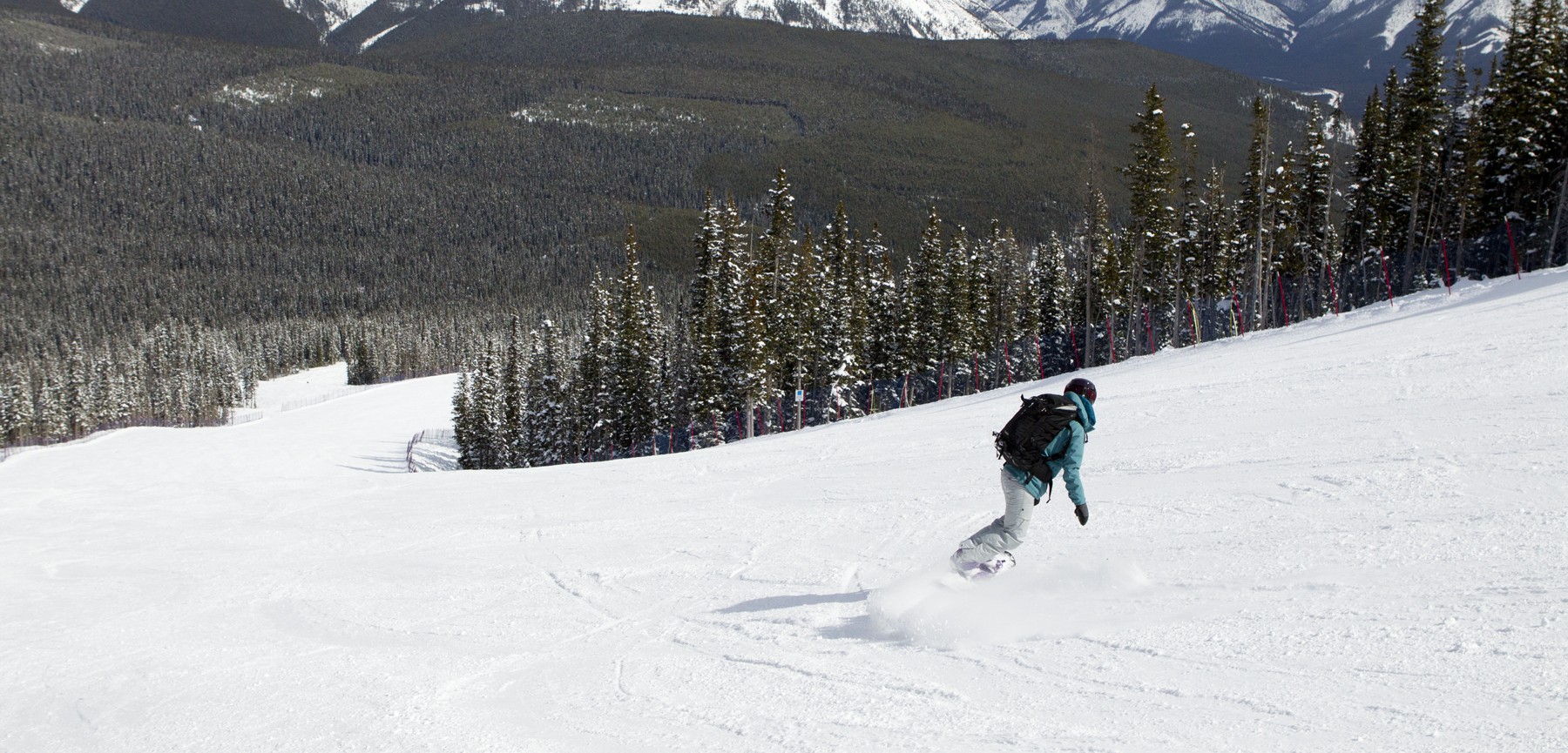 Adult Group Snowboard Lessons (Age 13+)